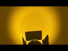 WW CW lampu spot fresnel LED